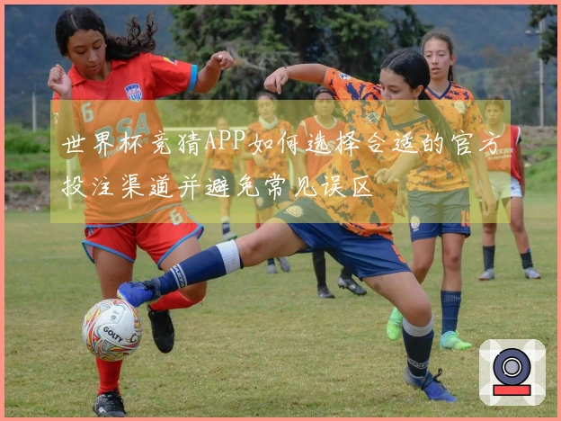 世界杯竞猜APP如何选择合适的官方投注渠道并避免常见误区