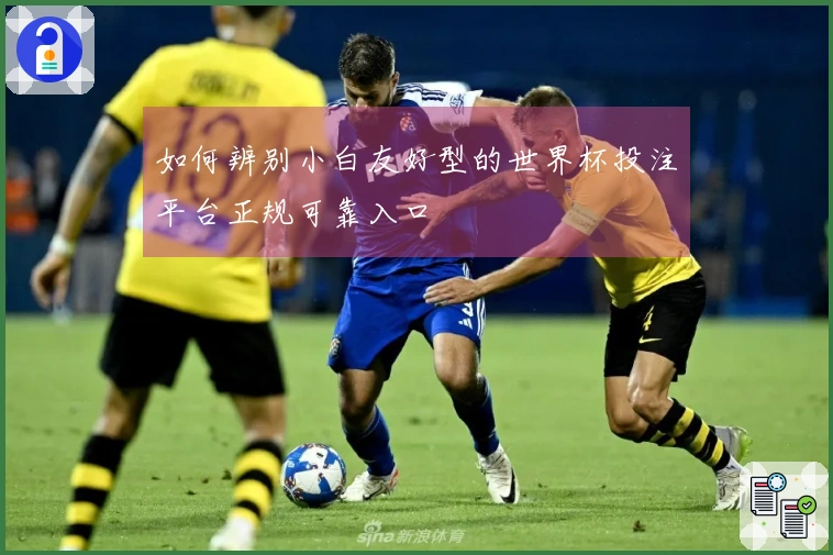 如何辨别小白友好型的世界杯投注平台正规可靠入口