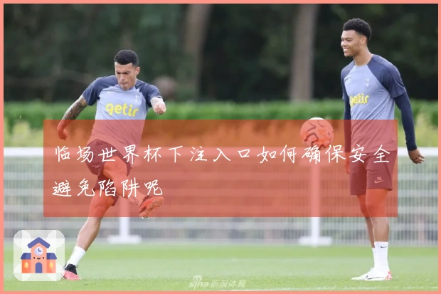 临场世界杯下注入口如何确保安全避免陷阱呢