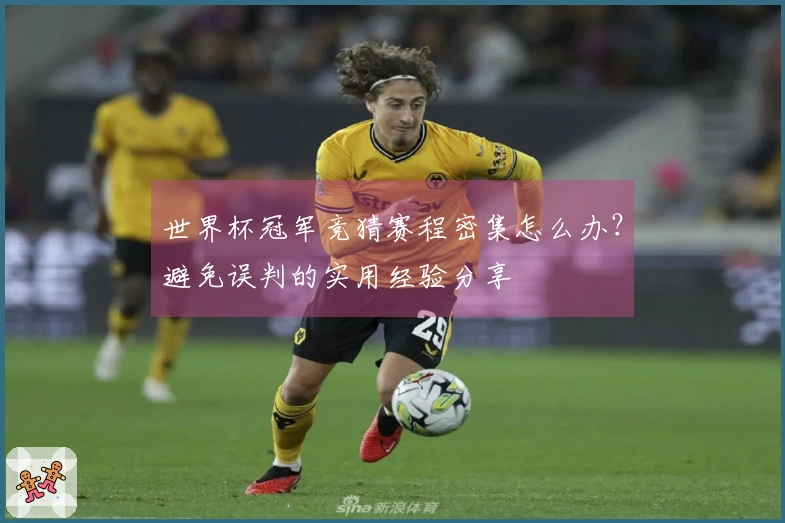 世界杯冠军竞猜赛程密集怎么办？避免误判的实用经验分享
